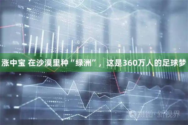 涨中宝 在沙漠里种“绿洲”，这是360万人的足球梦