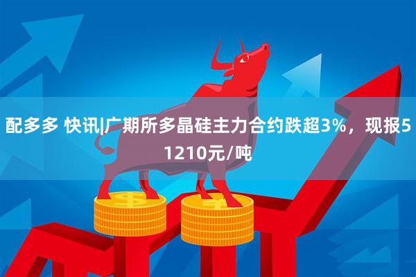 配多多 快讯|广期所多晶硅主力合约跌超3%，现报51210元/吨