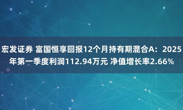 宏发证券 富国恒享回报12个月持有期混合A：2025年第一季度利润112.94万元 净值增长率2.66%