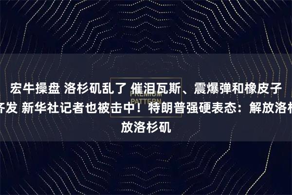 宏牛操盘 洛杉矶乱了 催泪瓦斯、震爆弹和橡皮子弹齐发 新华社记者也被击中！特朗普强硬表态：解放洛杉矶