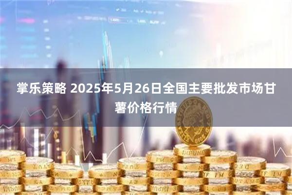 掌乐策略 2025年5月26日全国主要批发市场甘薯价格行情