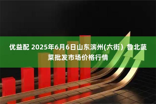 优益配 2025年6月6日山东滨州(六街）鲁北蔬菜批发市场价格行情