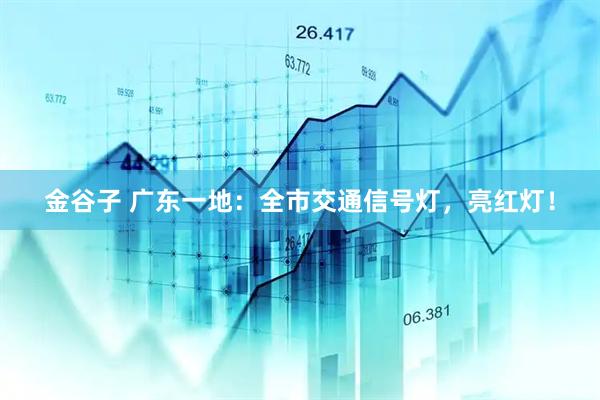 金谷子 广东一地：全市交通信号灯，亮红灯！