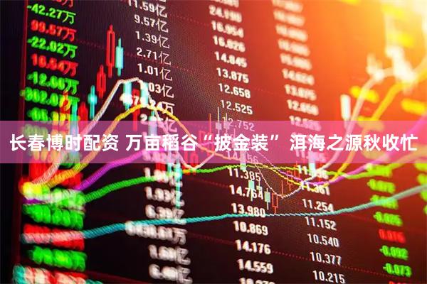 长春博时配资 万亩稻谷“披金装” 洱海之源秋收忙