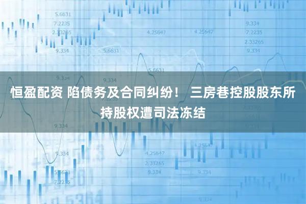 恒盈配资 陷债务及合同纠纷! 三房巷控股股东所持股权遭司法冻结