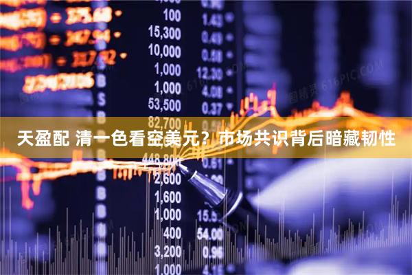 天盈配 清一色看空美元？市场共识背后暗藏韧性